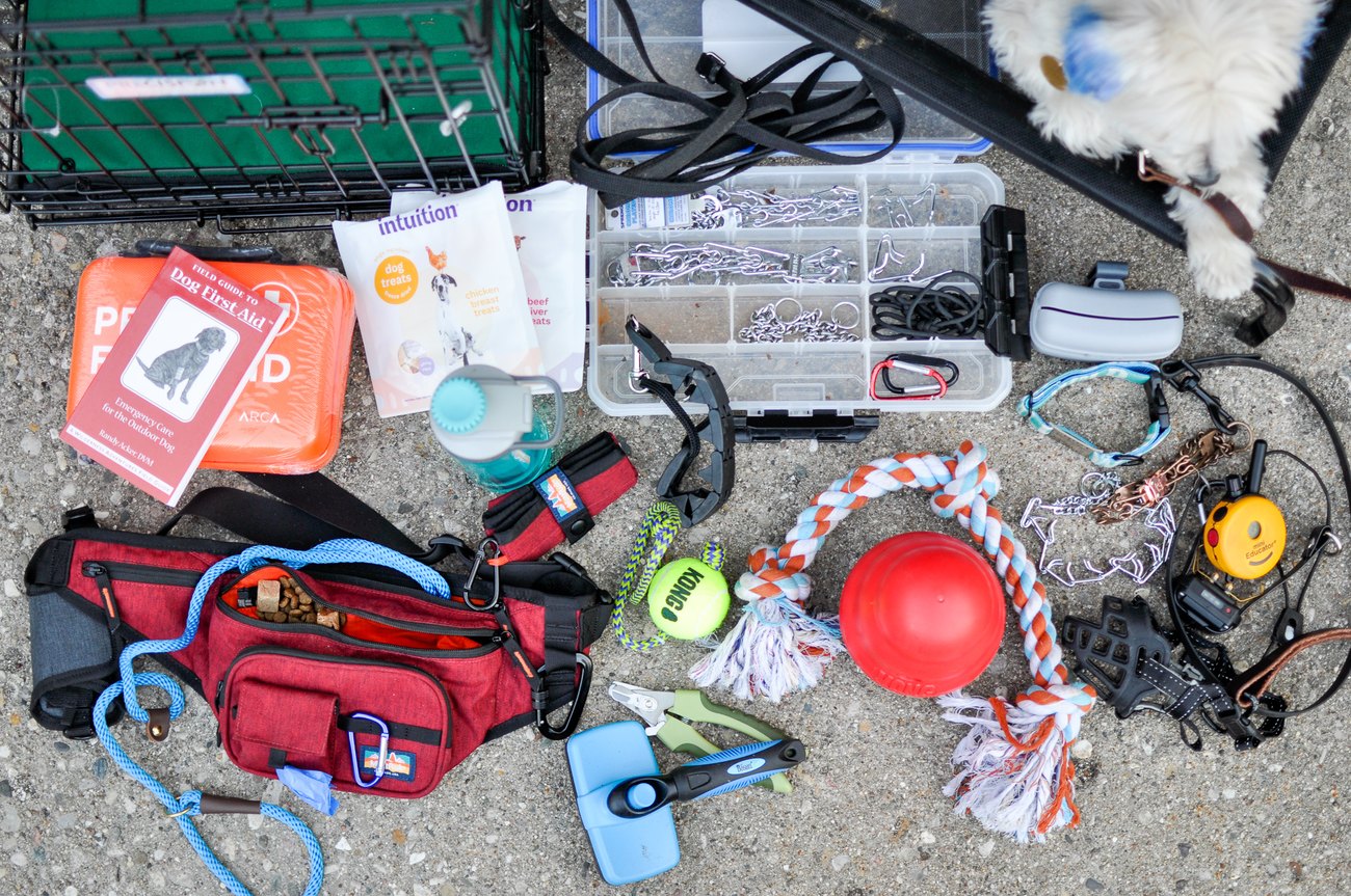 A selection of dog training equipment, leashes, toys, and rewards.
